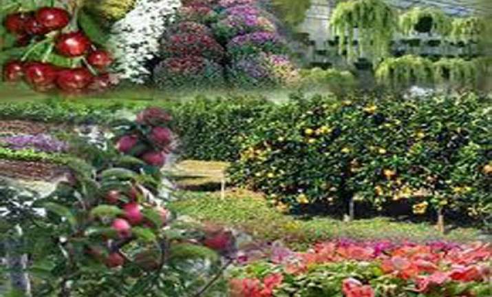 israel to train 26 indian horticulturists