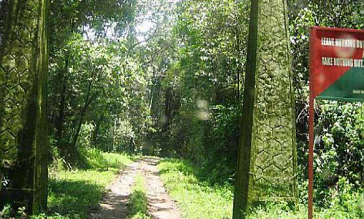 man walks 40km through forest with pregnant wife on
