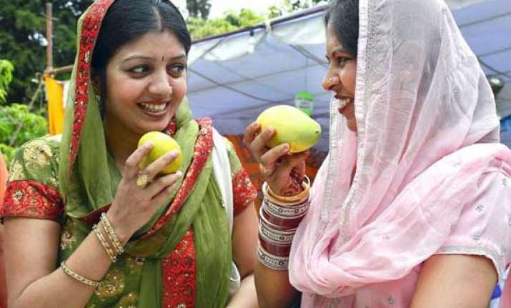 mango mela kicks off at pinjore gardens