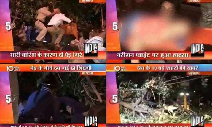 mother girl killed as tree falls in south mumbai