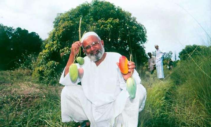 new mango named nirbhaya after gang rape victim