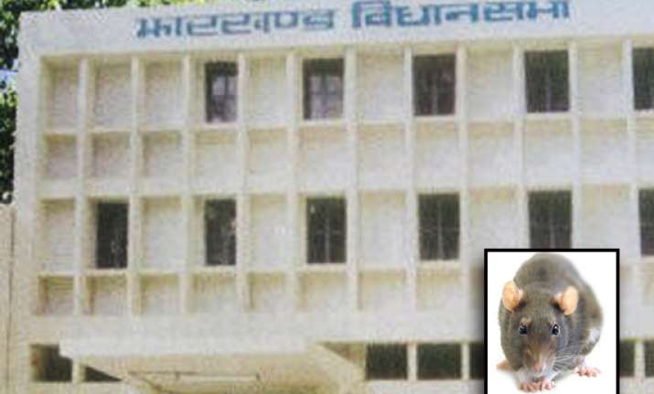 rat comes out from under oppn benches in jharkhand assembly