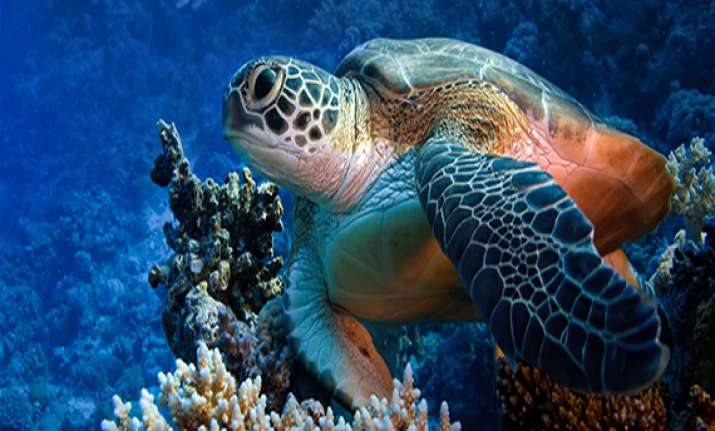 rich nations pledge to double funds for biodiversity