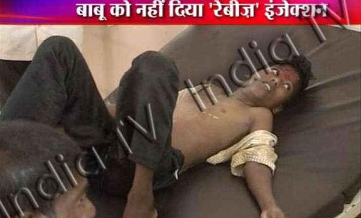 shame child dies in ap for lack of anti rabies vaccine