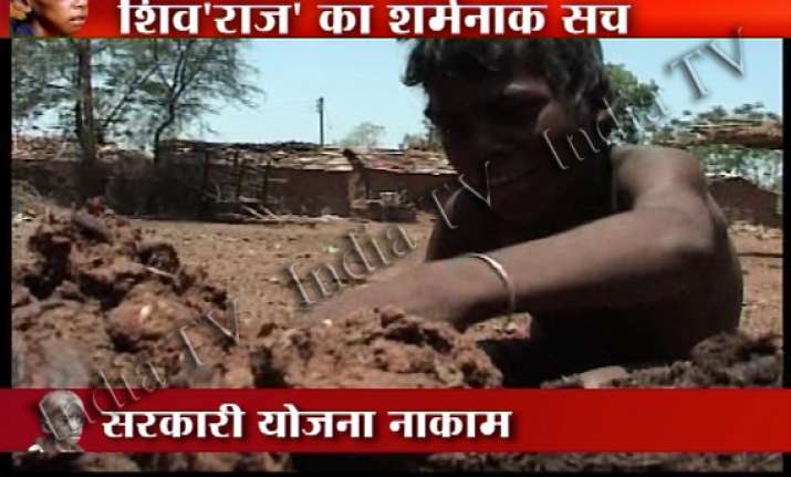 shocking mp children feeding themselves on seeds picked