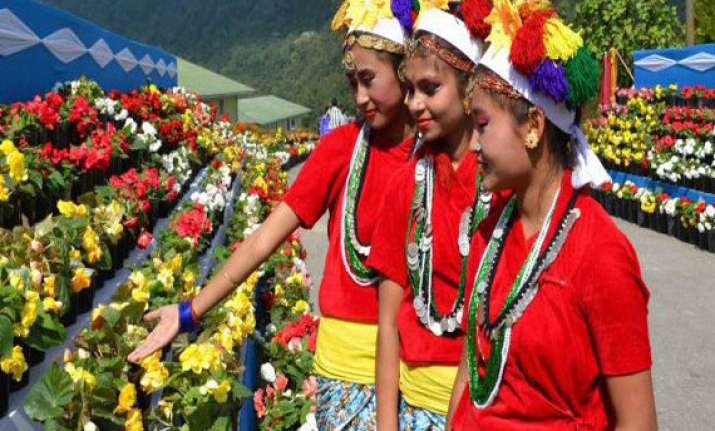 sikkim is lush with exotic flowers orchids