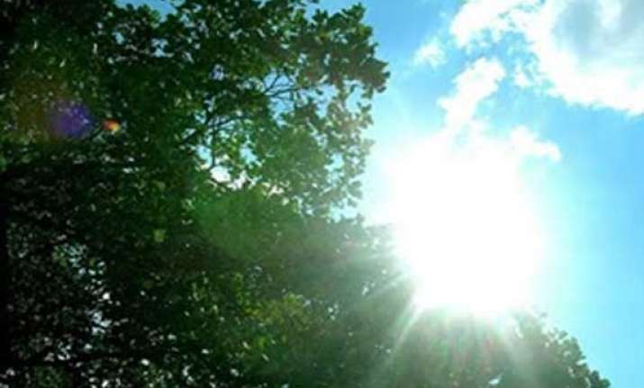 sunny day in delhi