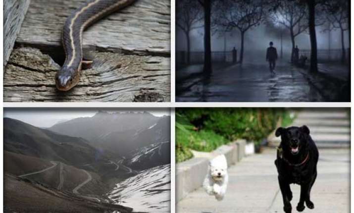 10 most widespread phobias among people