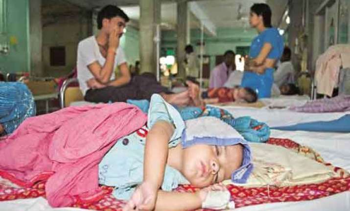 47 people die of japanese encephalitis in bengal