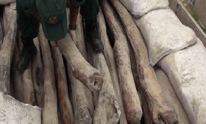 15 tonnes illegal sandalwood seized in karnataka