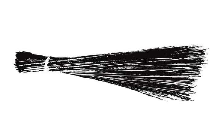 aap officially launches broom as party symbol