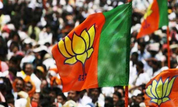 bjp could get 206 218 seats says opinion poll