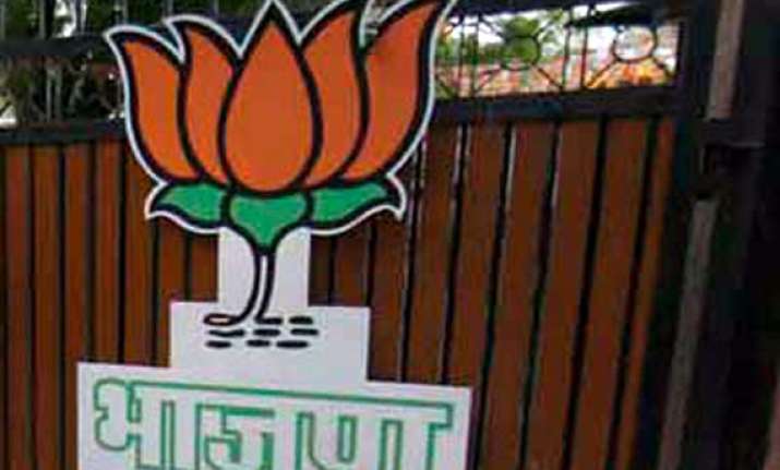 bjp woos dmdk and pmk for 2014 polls
