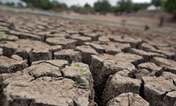 Maharashtra declares drought in 20 districts | National News – India TV