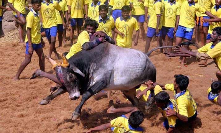 upa dmk govts to blame for including bulls cows in act