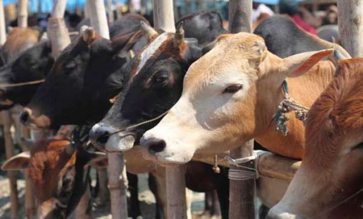 jd u calls for anti cow slaughter legislation