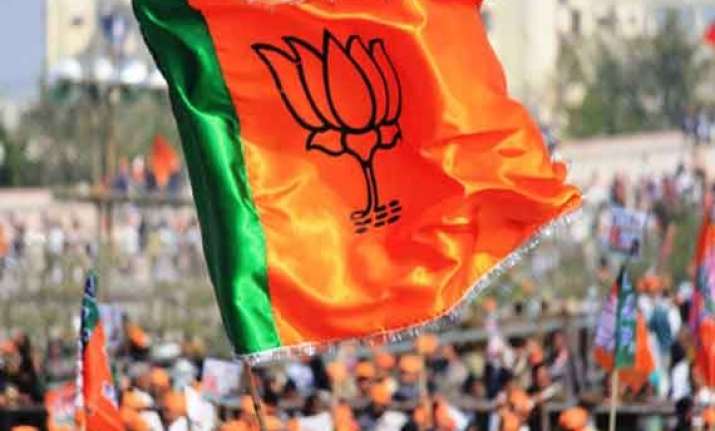 peaceful jk polls due to election commission and army bjp