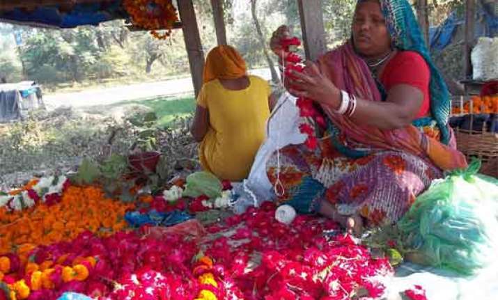 where have all the flowers gone demand peaks in agra
