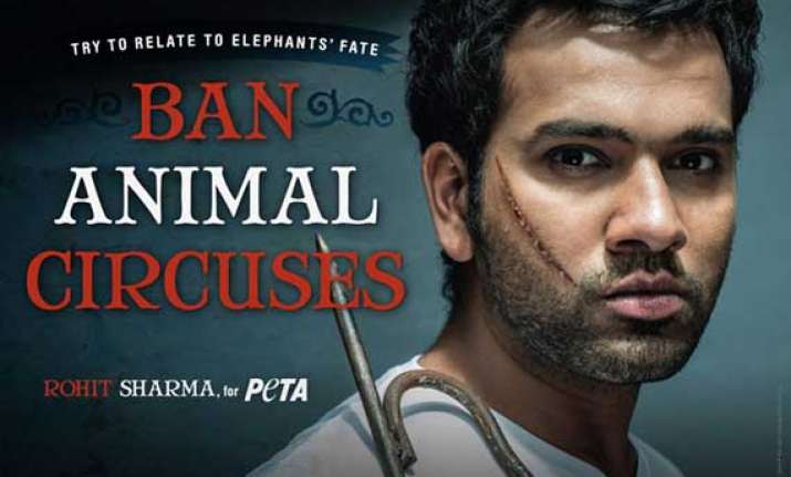 rohit stands up against treatment to circus tuskers