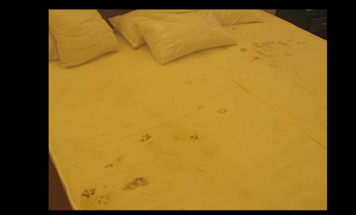 rooms are still unlivable botswana chef de mission
