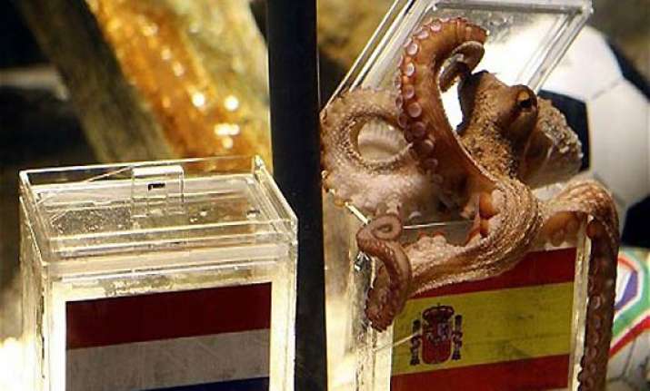 octopus picks canada in women s world cup opener
