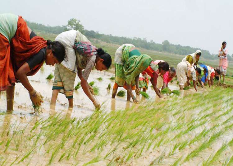 Bihar set to use nuclear energy in agriculture