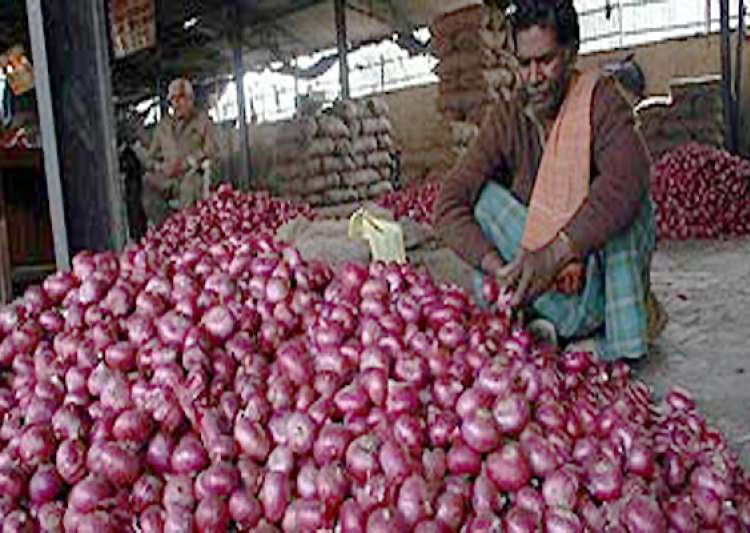 Live Onion Market