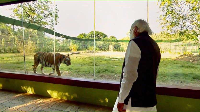 From toy train ride to jungle safari, PM Modi's visit to Kevadia - In Pics From toy train ride to jungle safari, PM Modi's visit to Kevadia - In Pics