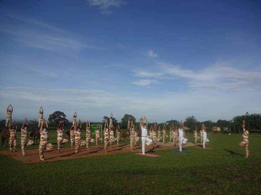 7th International Yoga Day 2021 World Yoga Day: Check out what's new in  this year