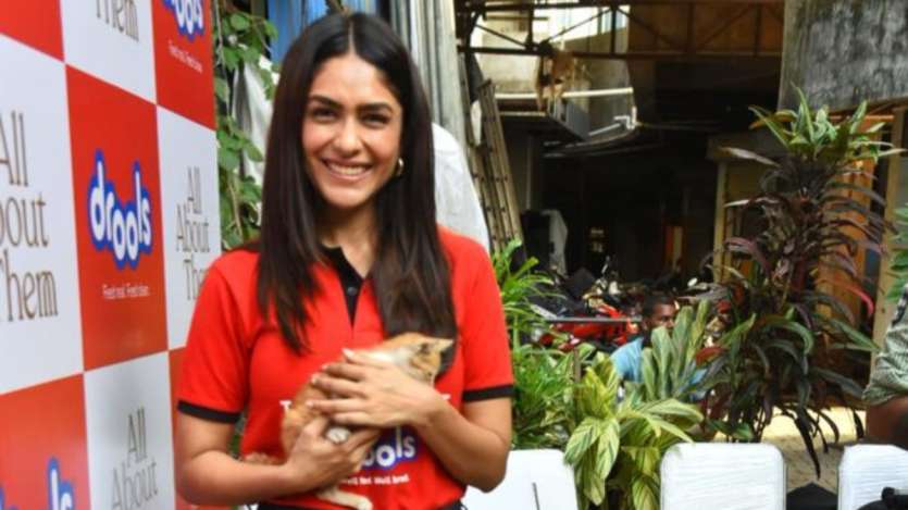 Mrunal Thakur expresses her love for animals by organising a food drive in collaboration with the All About Them foundation that assists abandoned and stray animals.