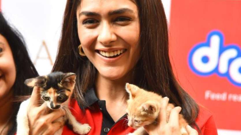 Mrunal was seen beaming with happiness while holding two small kitties.