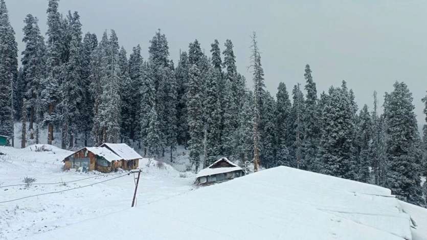 In Pics: Snowfall in Kashmir turns valley white, Srinagar experiences season's coldest night