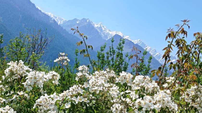 5 places to experience spring in India this march