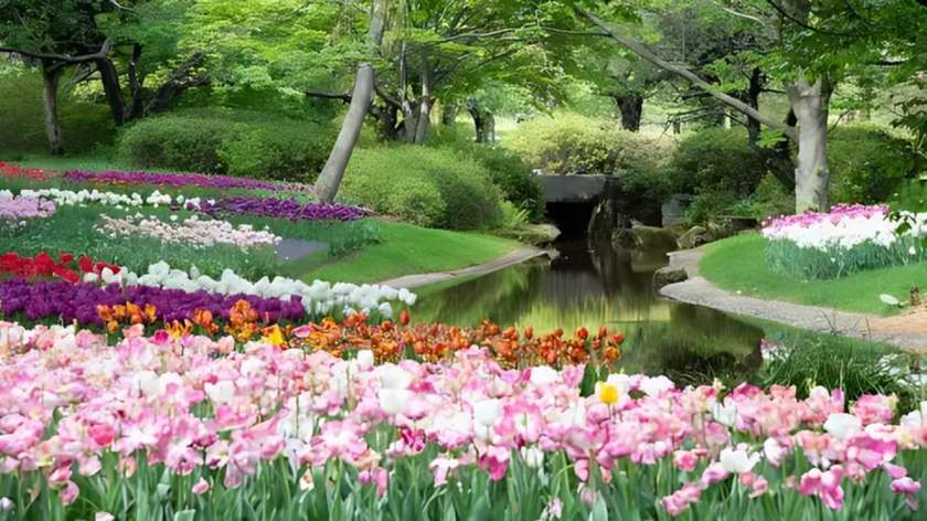 5 places to experience spring in India this march