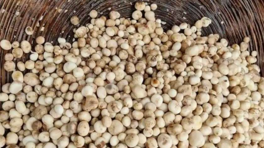 Maguda Rugda 7 Indian vegetables you didn't know are perfect for the monsoon season ...