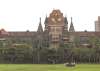 Bullock races: Bombay HC refuses to vacate stay, asks can