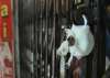 Representational pic - Delhi sealing drive: DDA approves