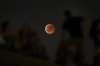 People watch from atop a hill a red moon during a complete