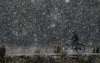 Srinagar: A man rides a bicycle during season's first