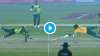 'Superman' Mohammad Rizwan makes incredible dive to run Reeza Hendricks out in 1st T20I