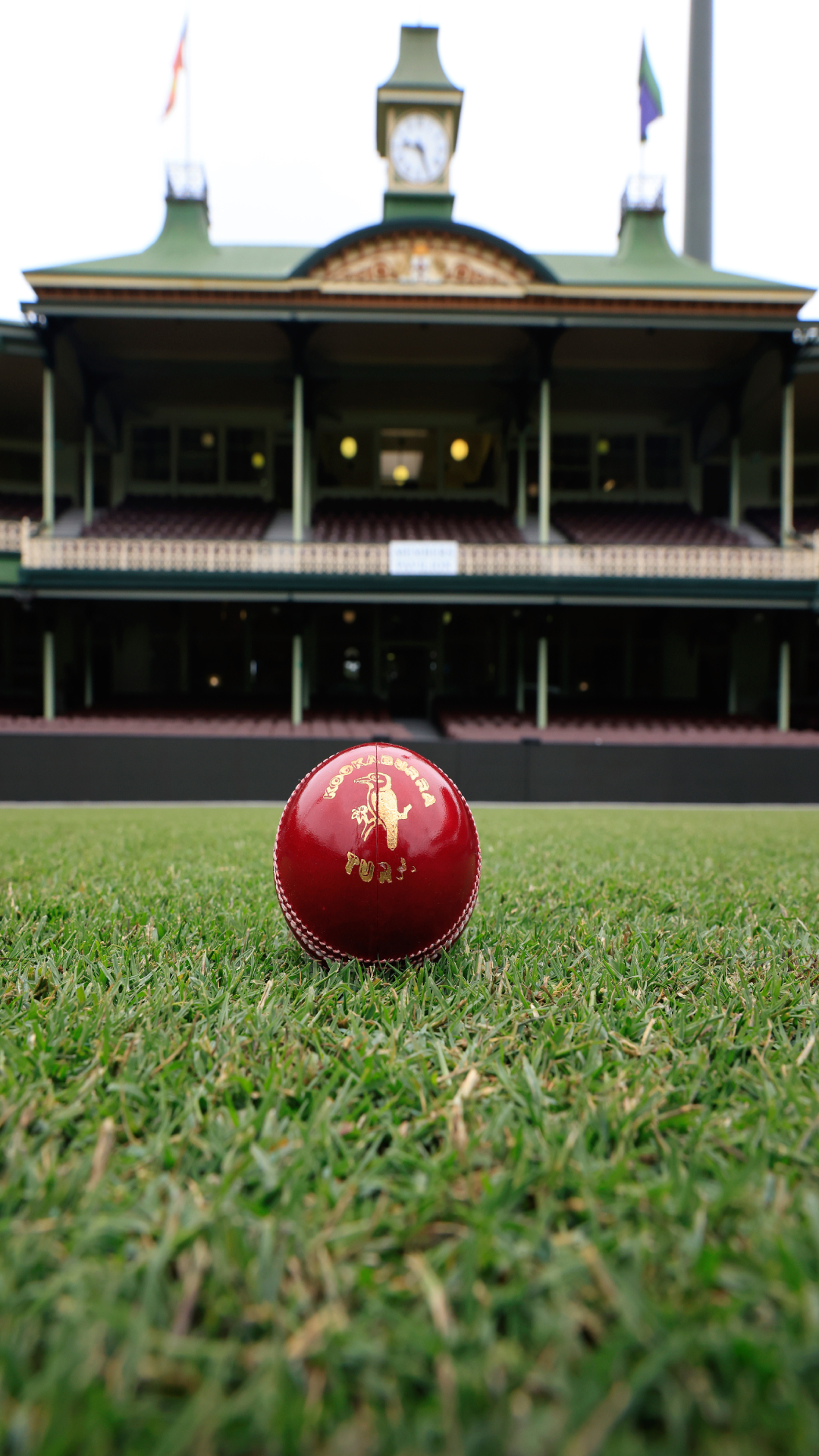 5 bowlers in Test match cricket who have bowled most number of deliveries