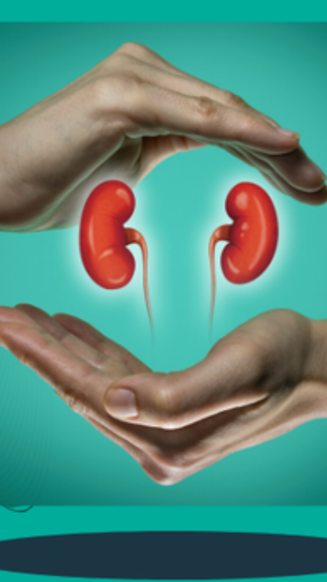 Kidney Health Best Food Items To Stay Healthy In A Longer Run