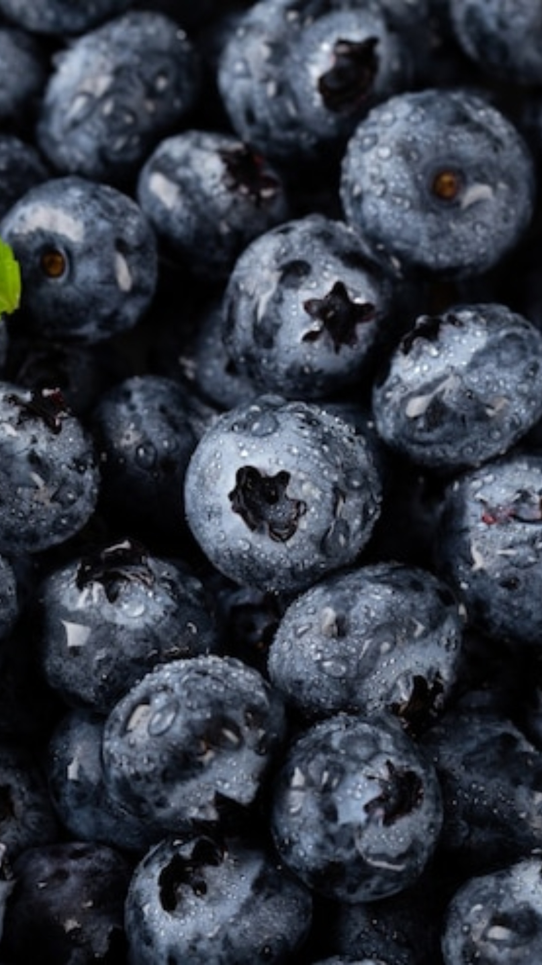 Check Out 5 Amazing Health Benefits Of Blueberries