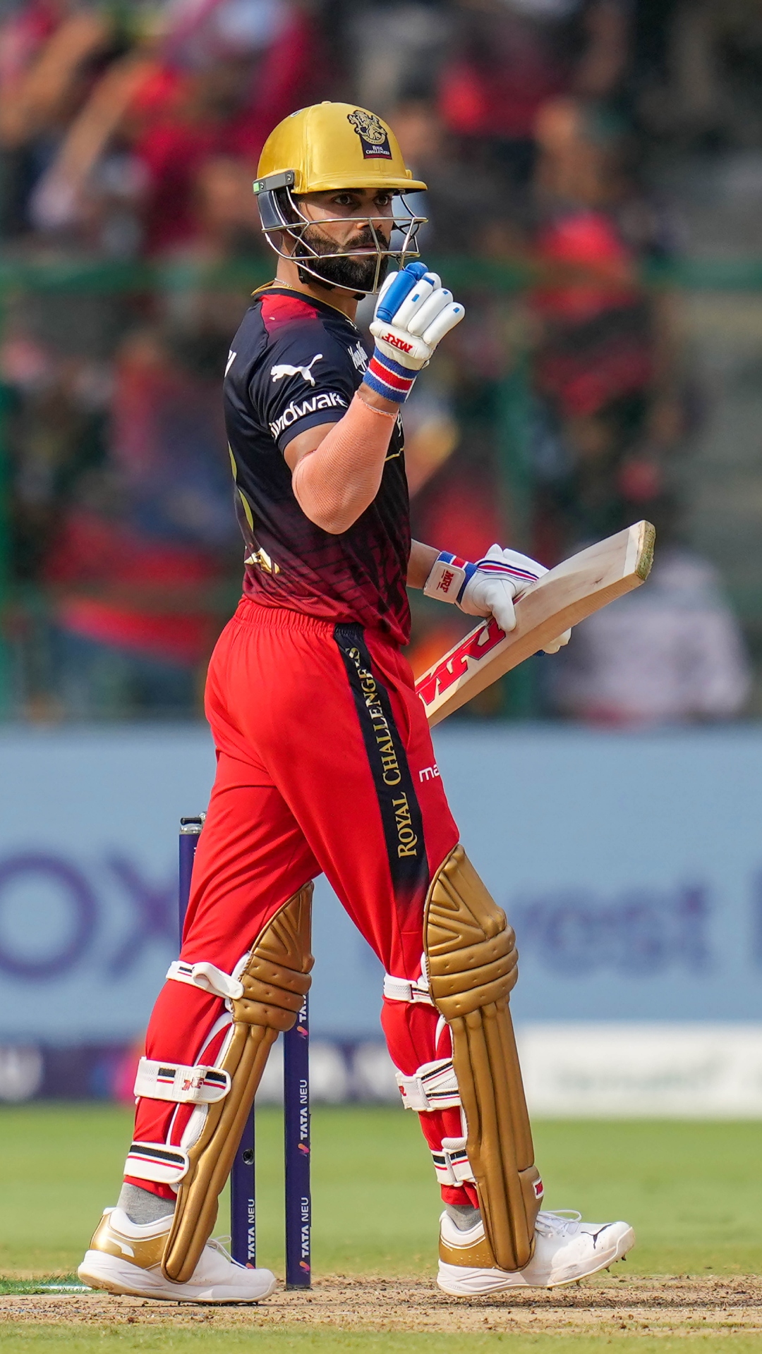 Players To Hit Most Runs Against One Team In IPL Feat Virat Kohli And 