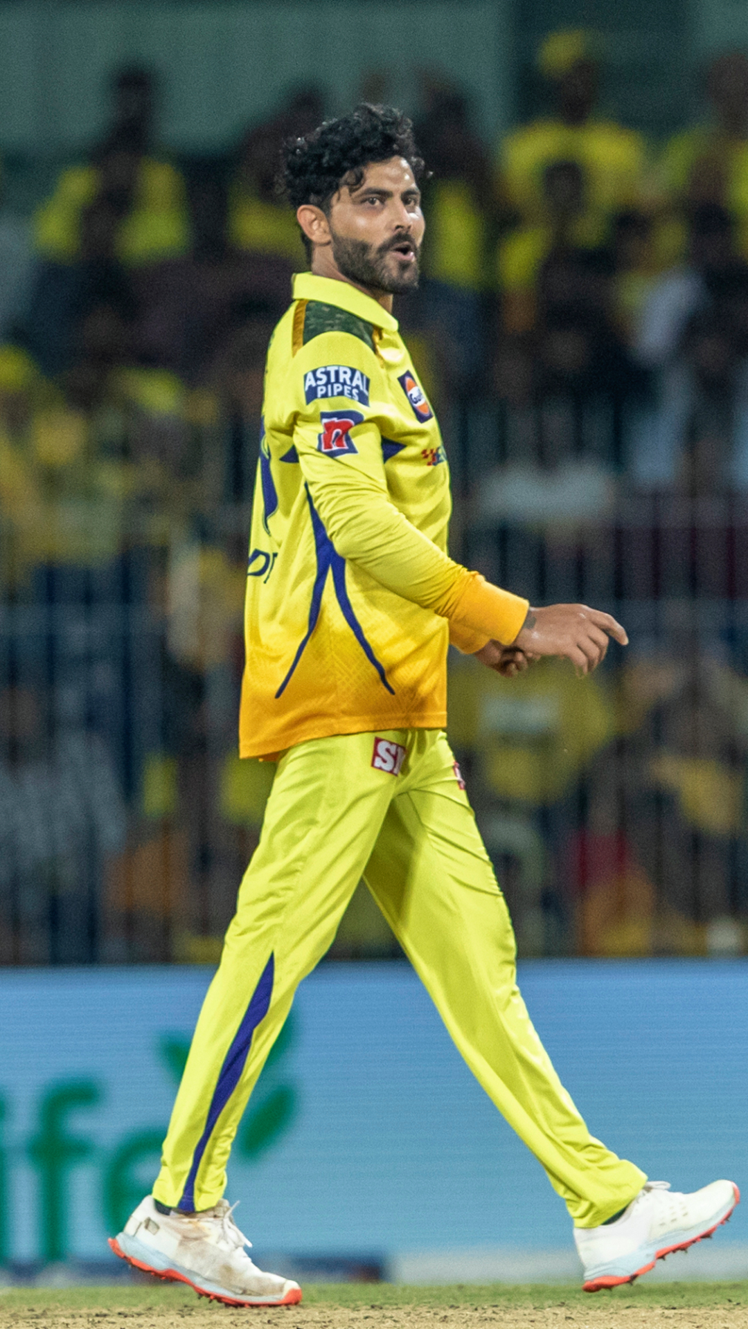IPL Ravindra Jadeja Chennai Superkings Paper FineArt Wall Poster Without  Frame (12x18 Inch) : Amazon.in: Home & Kitchen