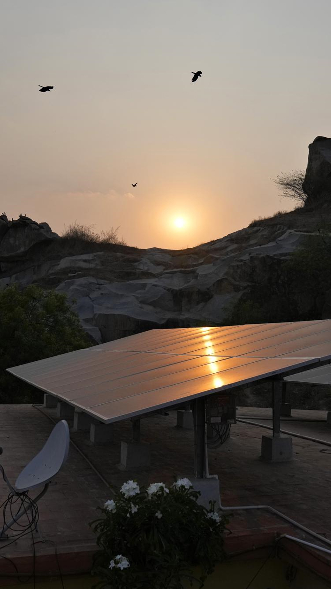 Birds fly at sunset over rooftop solar panels installed at a government maternity hospital to provide electricity