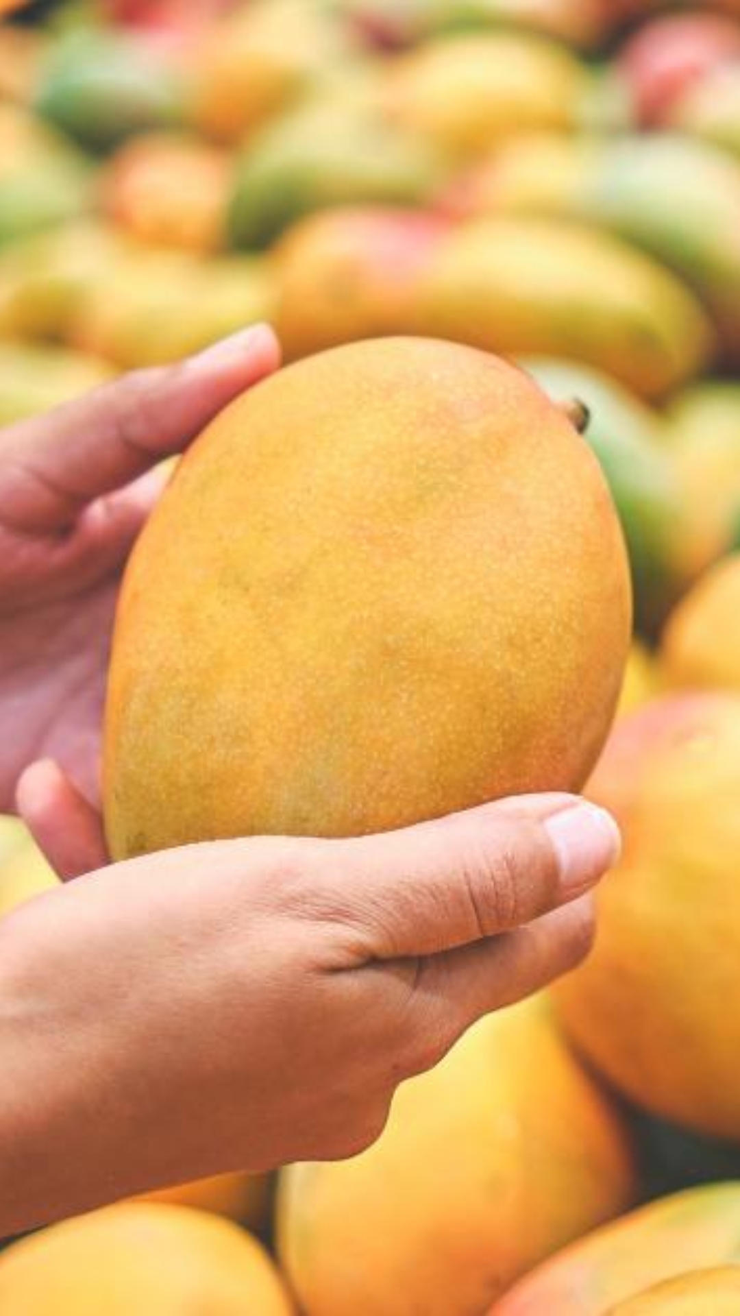 Top varieties of mango to try this summer