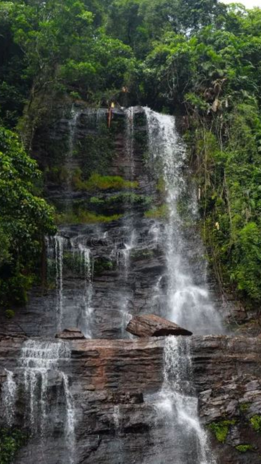 Chikamagalur is filled with national parks, beautiful waterfalls, and high peaks. It's a place in Karnataka where you can slowly savor the natural attractions that this place has to offer.