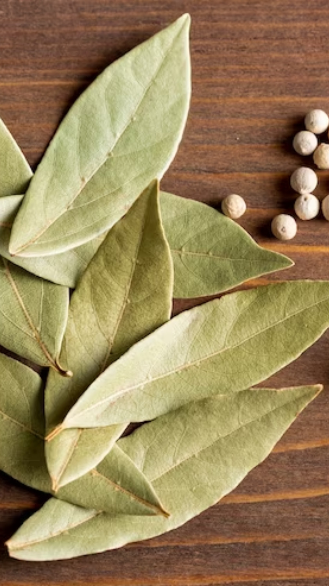 Bay Leaf Tea Benefits, Side Effects, And Recipe Chinese