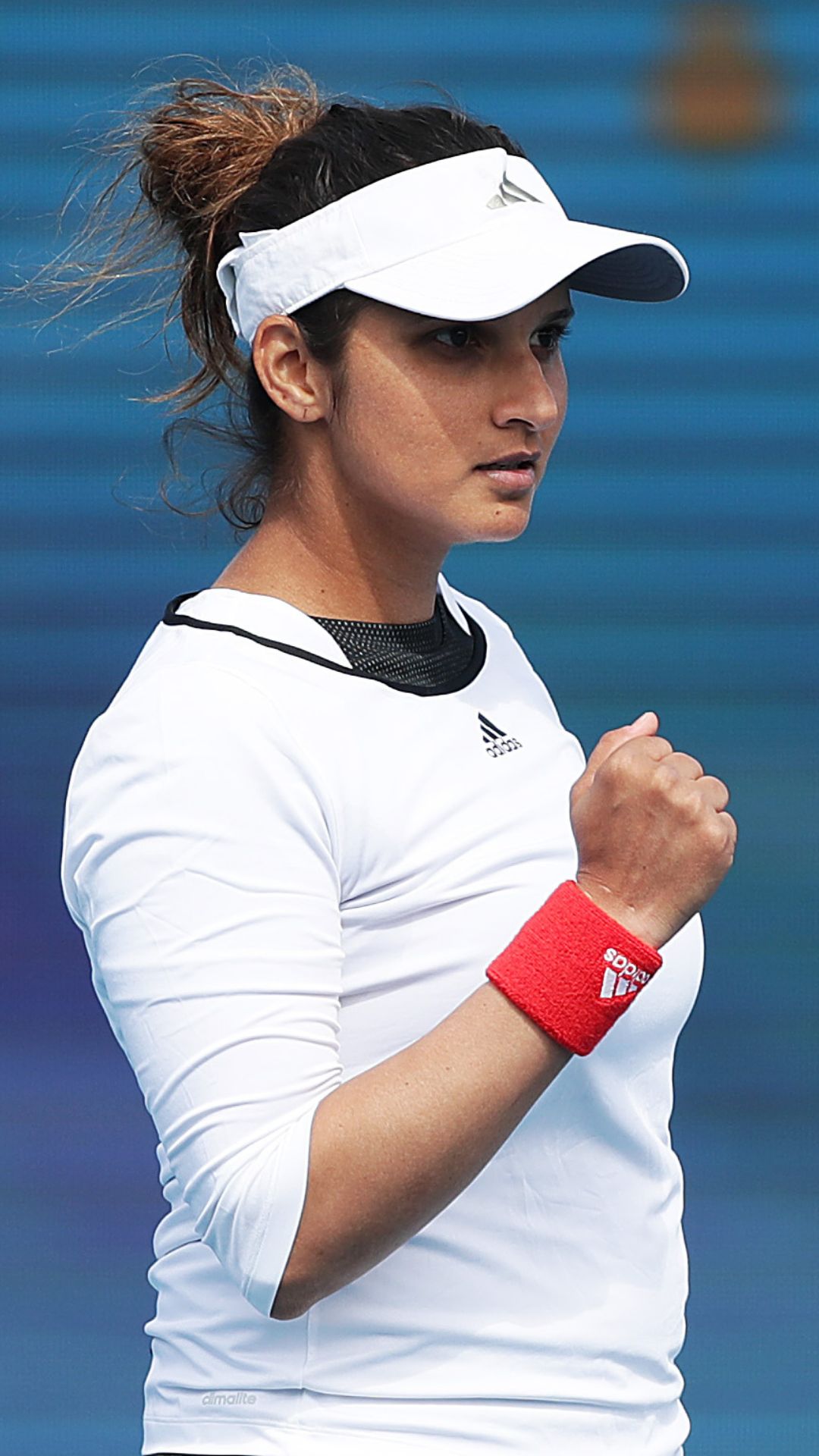 Indian tennis players with most Grand Slam titles, feat Sania Mirza's six titles